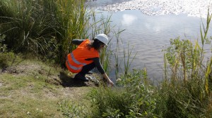 Río Diamante - Mendoza    