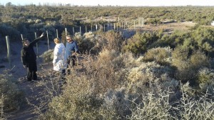 Stroyproject Weather Modification - Lavalle - Mendoza      