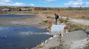 Ushuaia - Tierra del Fuego     