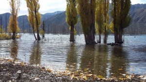 Potrerillos - Mendoza      